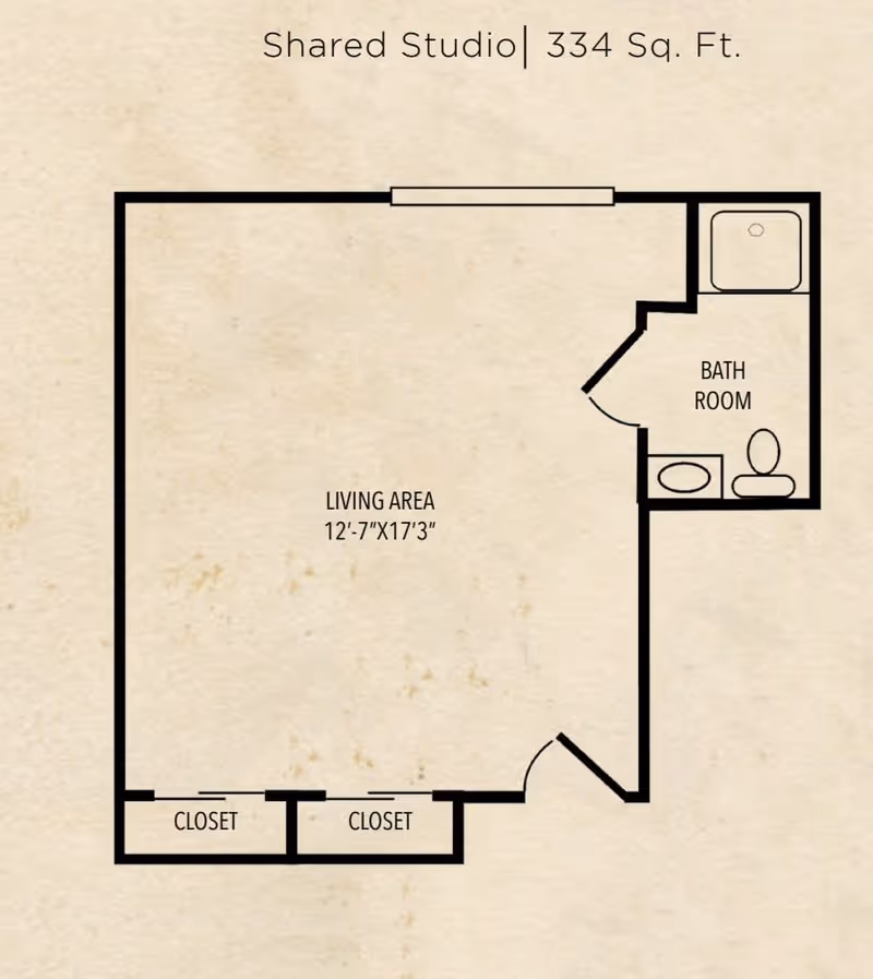 Floor plan of a shared studio apartment measuring 334 square feet, featuring a living area of 12 feet 7 inches by 17 feet 3 inches, two closets, and a bathroom with a sink, toilet, and shower.