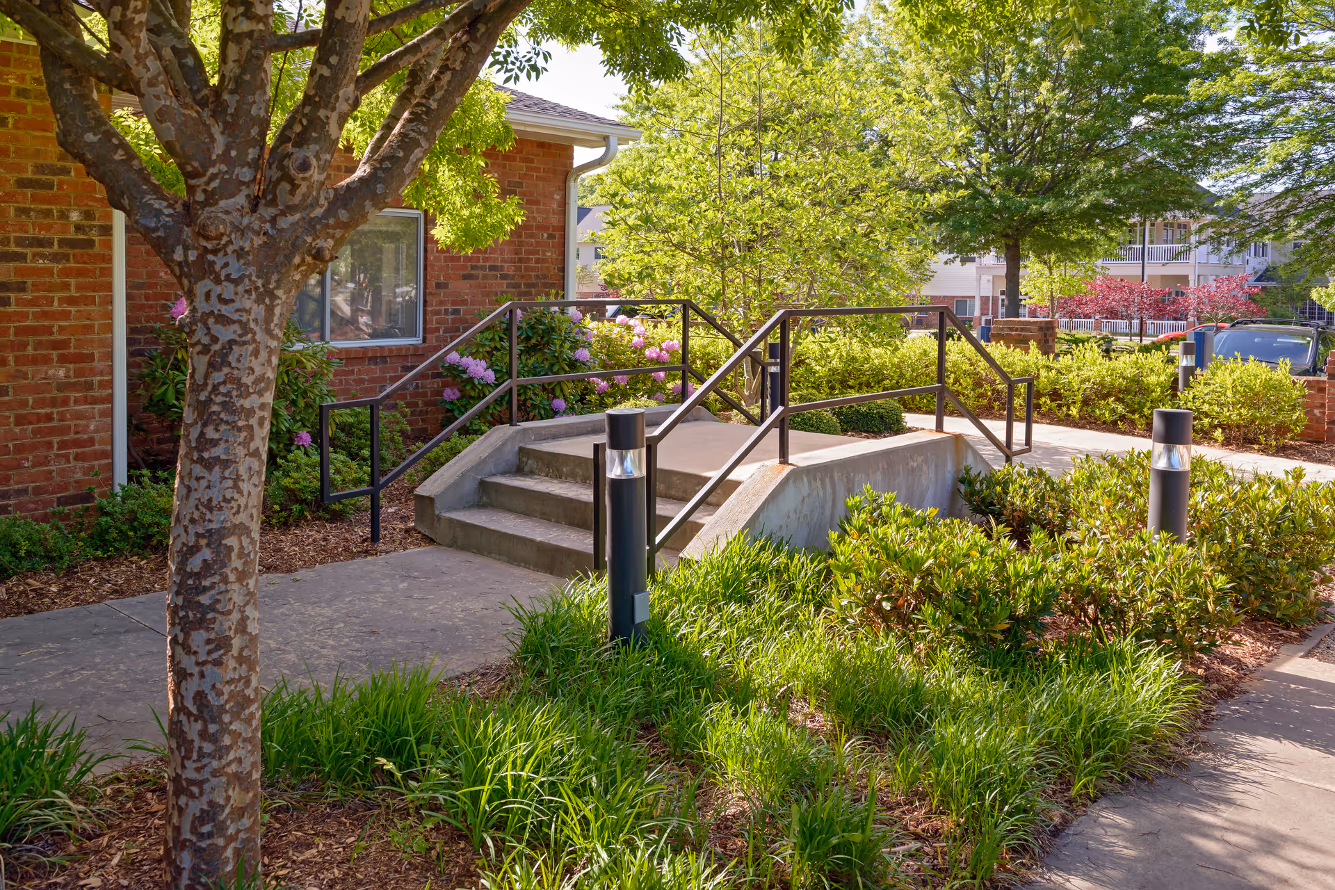 Outdoor view of a pathway with a small concrete ramp and stairs leading to a brick building. The area is surrounded by green bushes, trees, and flowering plants under bright daylight.