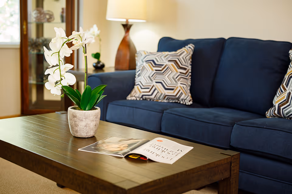 A cozy living room with a dark blue sofa adorned with patterned cushions. In front of the sofa is a wooden coffee table with a potted white orchid and an open magazine. A wooden cabinet with glass doors and a table lamp with a wooden base are visible in the background.