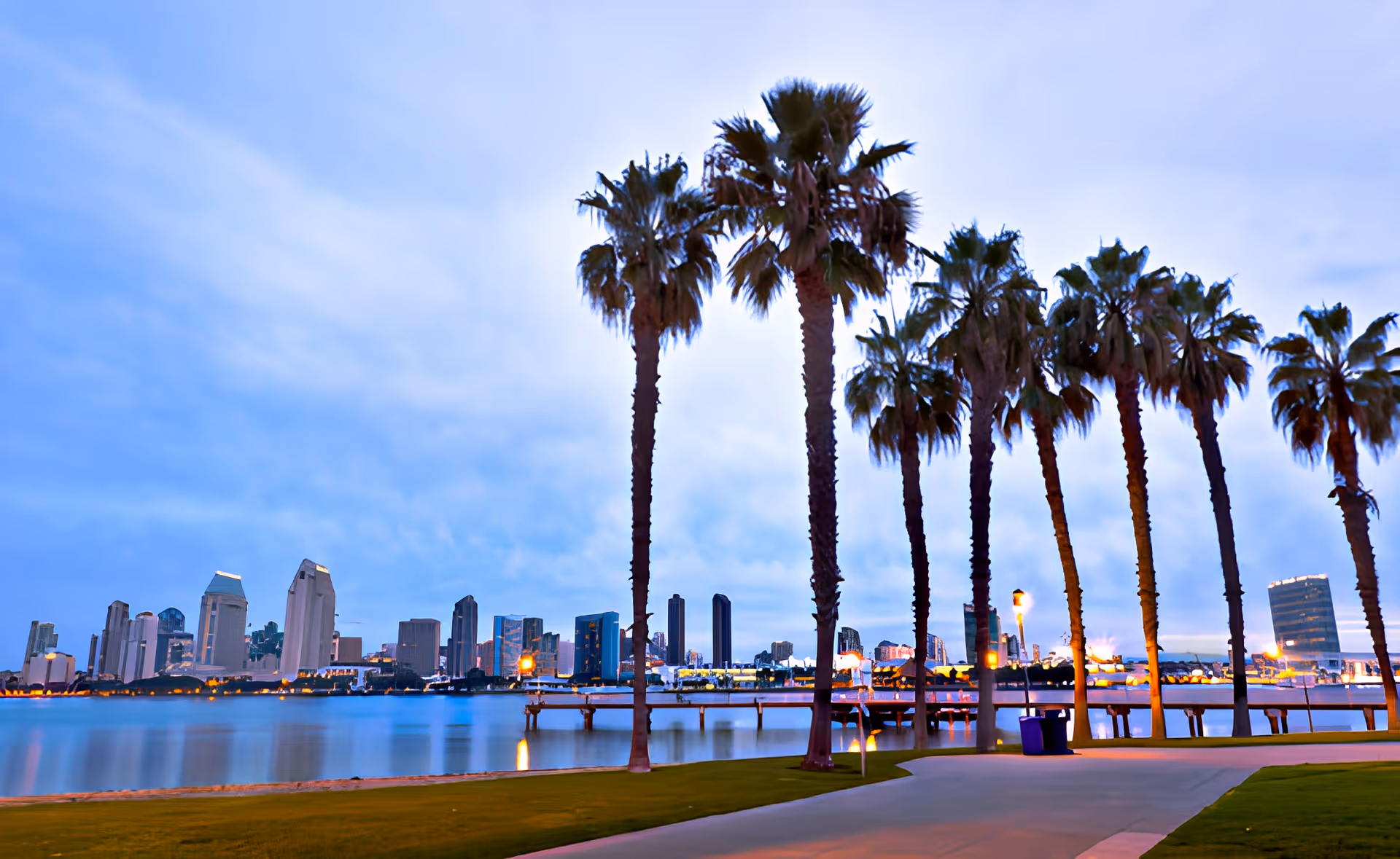 View of a city skyline across a body of water with a row of tall palm trees in the foreground and a paved walkway along the water's edge during dusk or early evening.