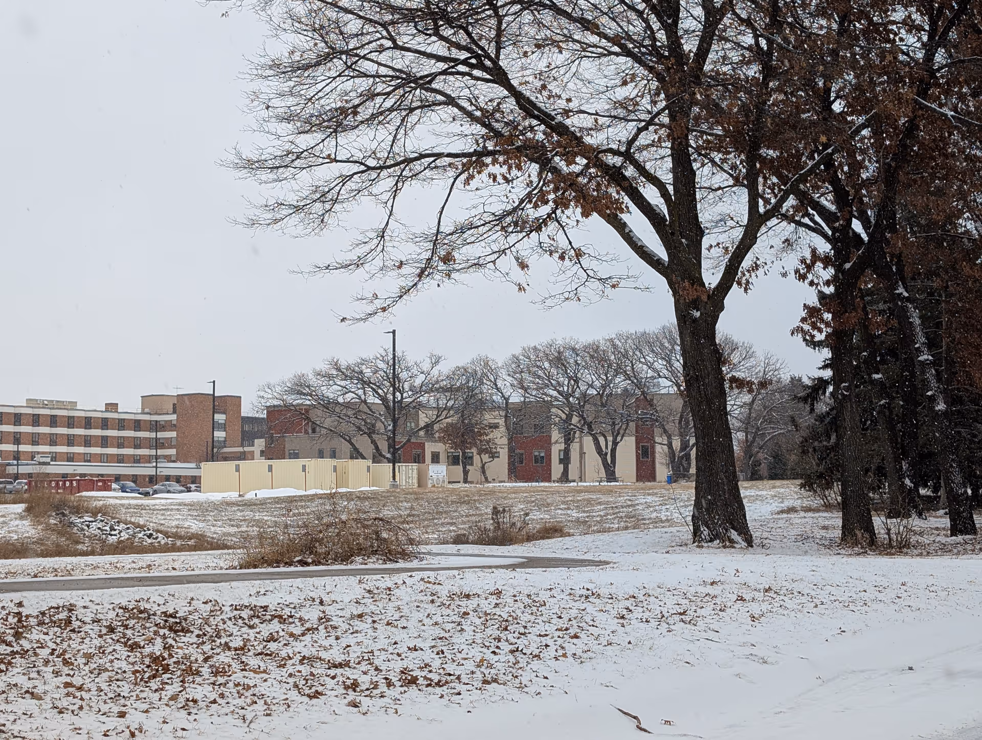 Snow-covered ground with scattered dry leaves, a paved pathway, leafless trees, and a multi-story building in the background under a gray sky.