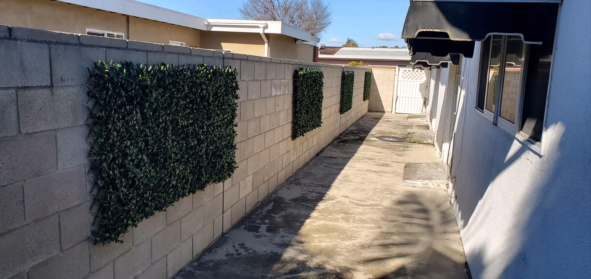 Narrow outdoor walkway between a gray block wall with green hedge panels and a white building.