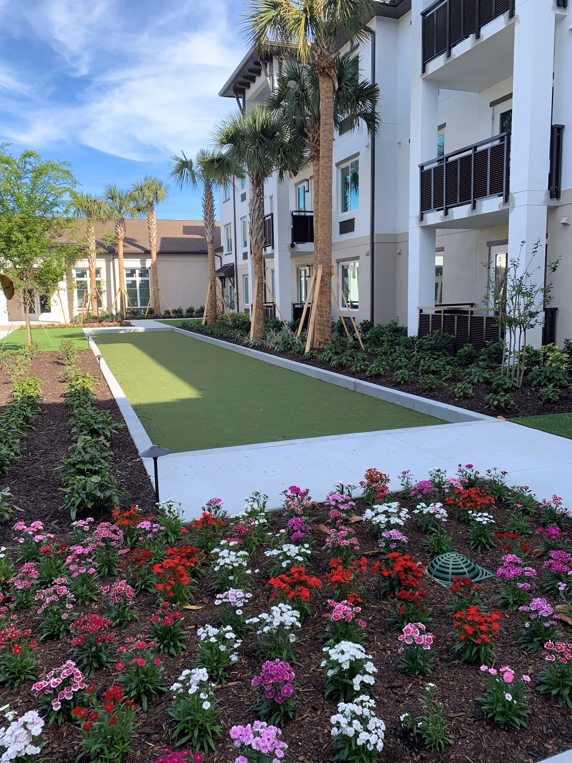 Outdoor garden area at a senior living facility with colorful flowers in the foreground, a bocce ball court in the center, palm trees lining the walkway, and a multi-story building with balconies on the right side under a partly cloudy sky.