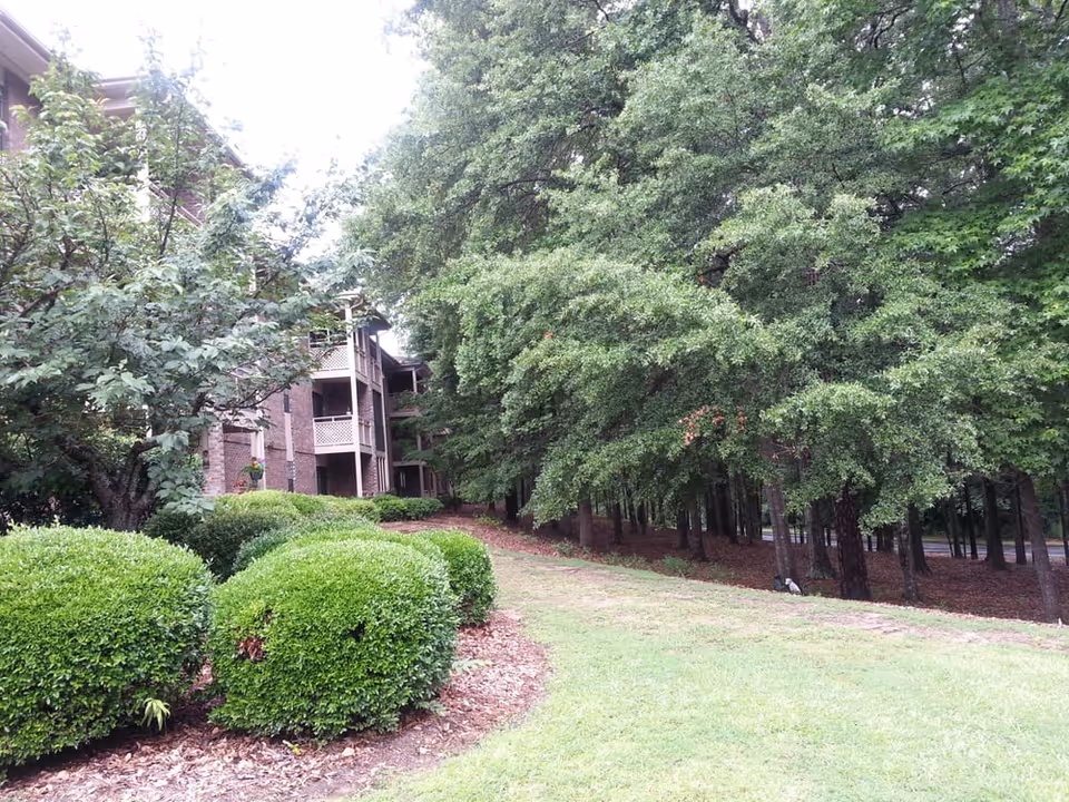 A landscaped outdoor area at Covenant Woods featuring neatly trimmed bushes, a grassy lawn, and tall trees. A multi-story brick building with balconies is partially visible on the left side.