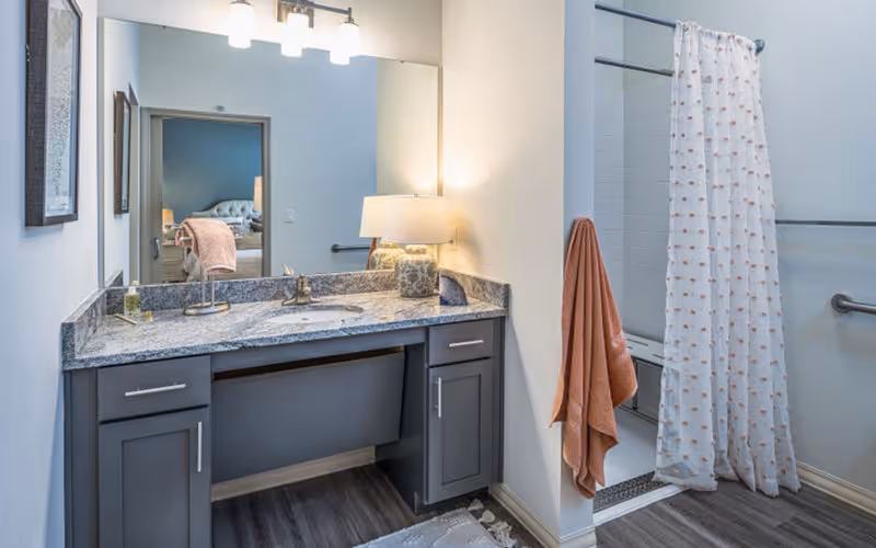 A bathroom with a gray vanity topped with a granite countertop and sink, a large mirror and lamp, and an adjacent walk-in shower with a patterned curtain and grab bars.