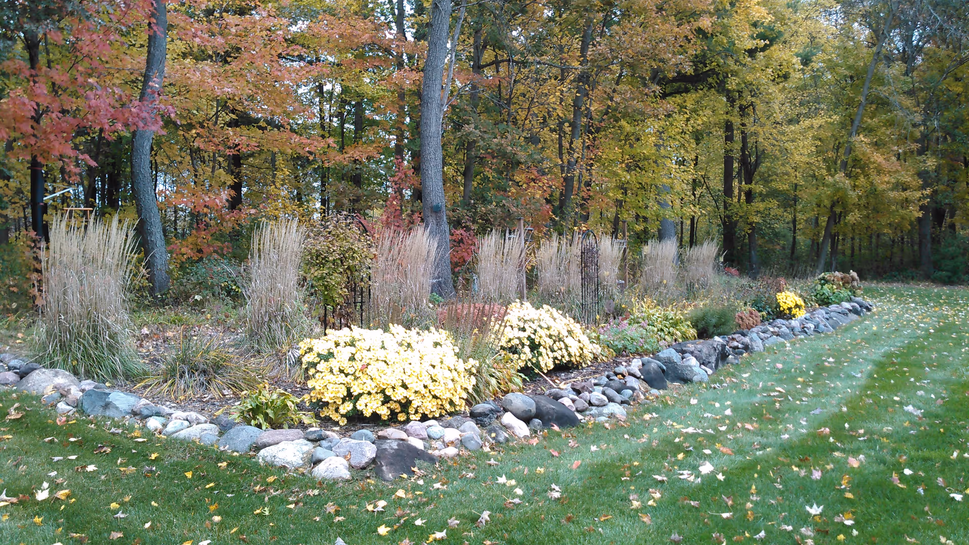 A landscaped garden area with a border of large rocks, featuring clusters of yellow flowers and tall grasses. Behind the garden is a wooded area with trees showing autumn foliage in shades of green, yellow, and orange. The foreground has a well-maintained grassy lawn with scattered fallen leaves.