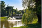 A peaceful outdoor scene featuring a pond with two water fountains spraying water into the air, surrounded by lush green grass and trees, including a large weeping willow on the right side. In the background, there are more trees and a clear blue sky.