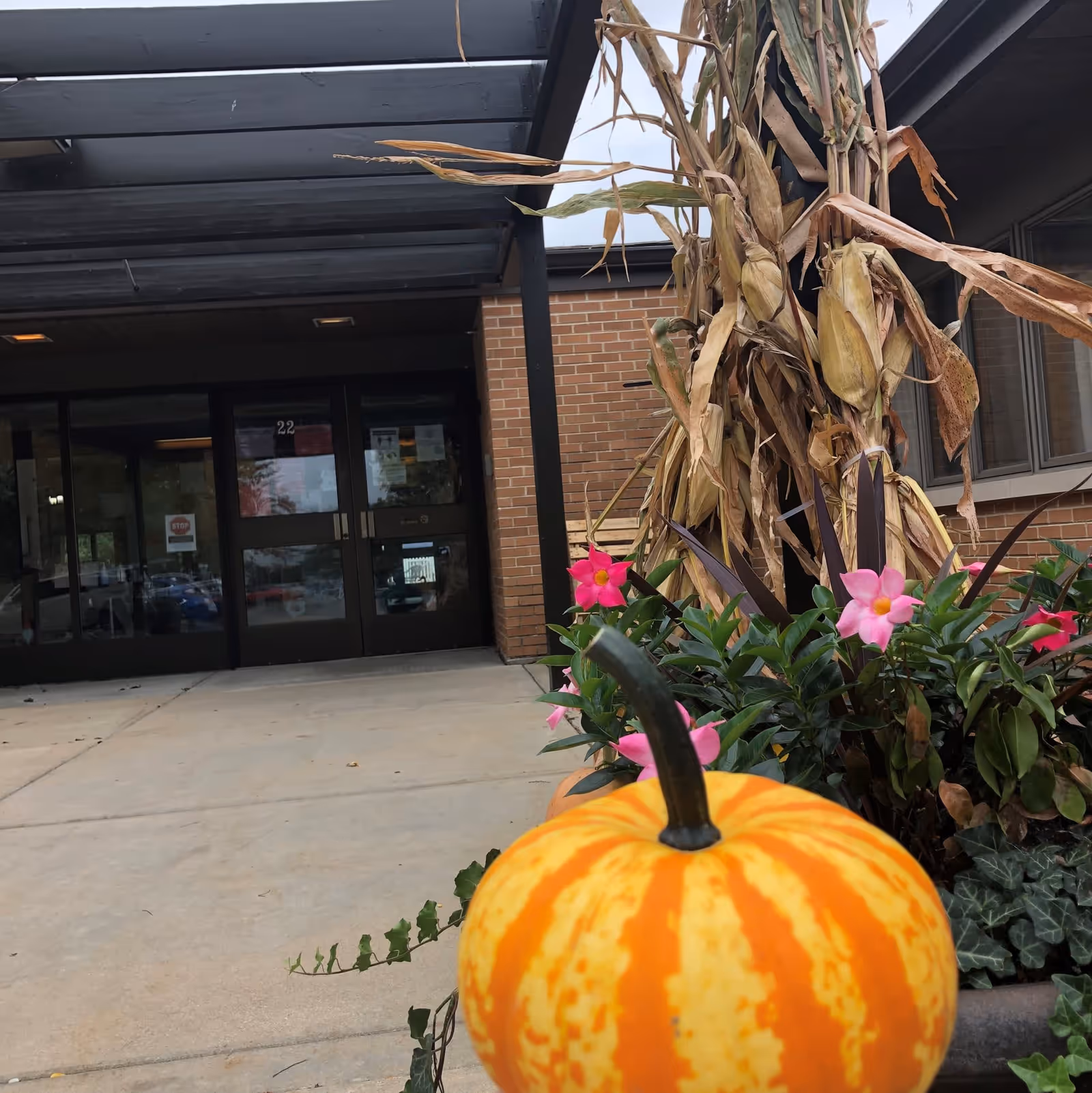 Entrance of a brick building with double doors and a covered entry decorated with a small orange pumpkin, pink flowers, and dried corn stalks.