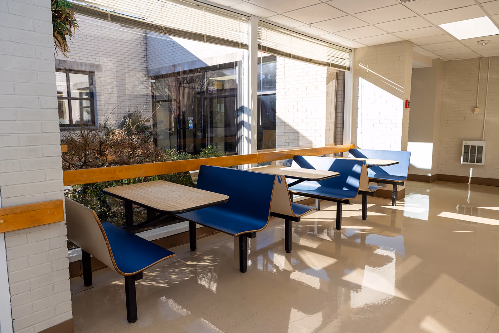 A bright indoor seating area with blue booth-style benches and wooden tables along a large window overlooking an outdoor courtyard with plants. The floor is shiny and reflective, and sunlight streams through the window blinds.