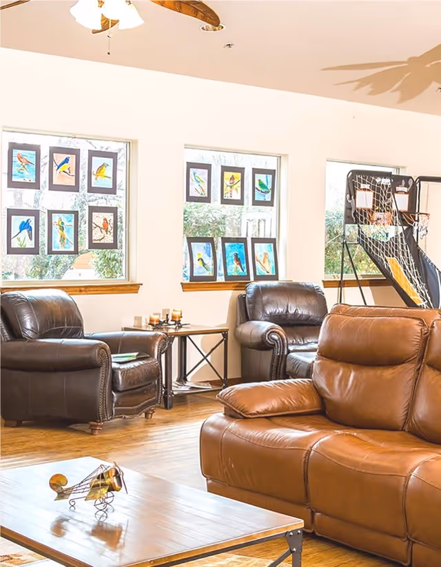 A cozy living room with brown leather sofas and armchairs, a wooden coffee table with a decorative item, and three windows displaying colorful bird artwork. There is also a basketball arcade game in the corner.