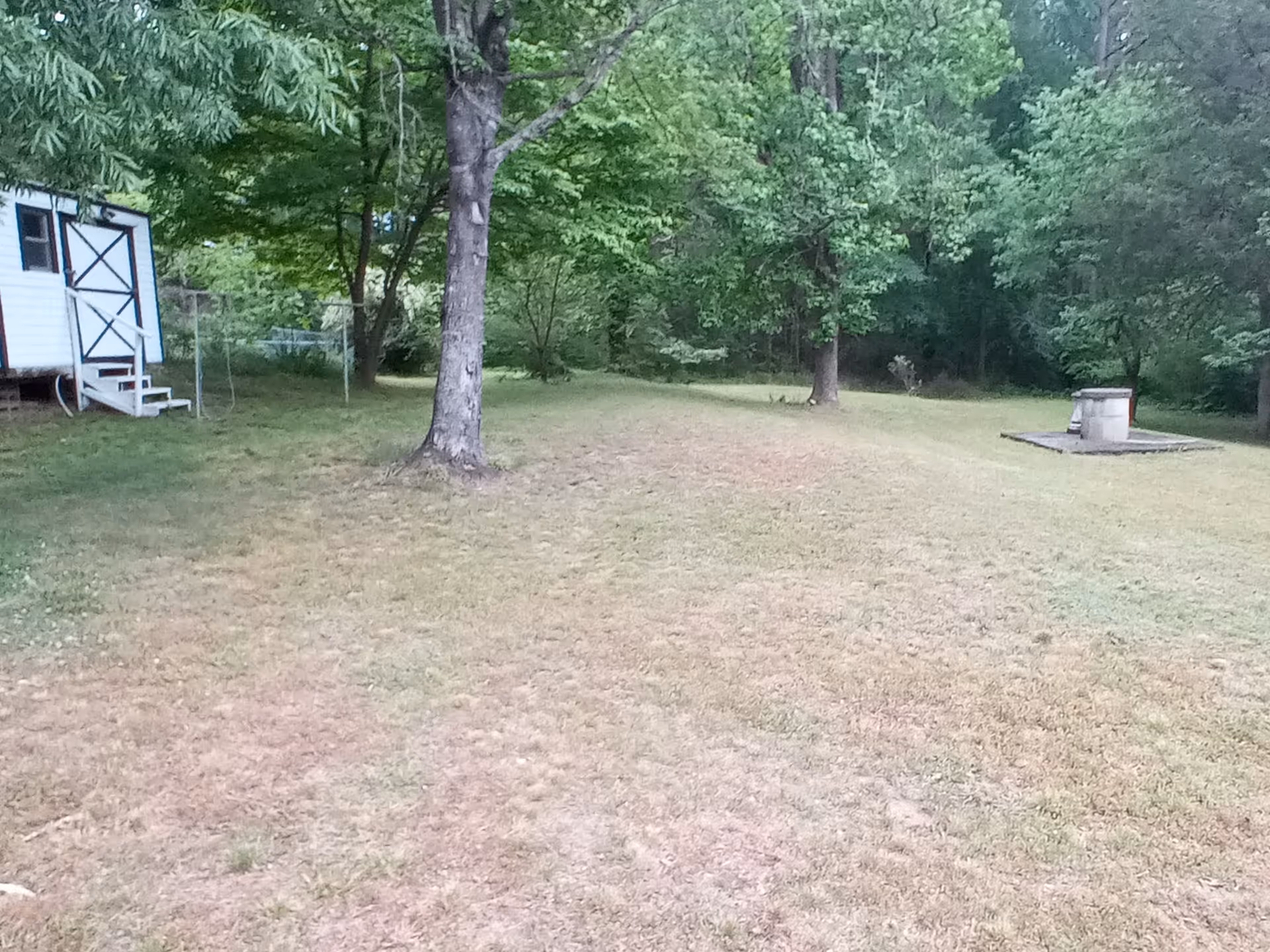 A grassy outdoor area with several trees and a small white shed with a black door and steps on the left side. There is also a concrete platform with a cylindrical object on the right side, surrounded by dense green foliage in the background.