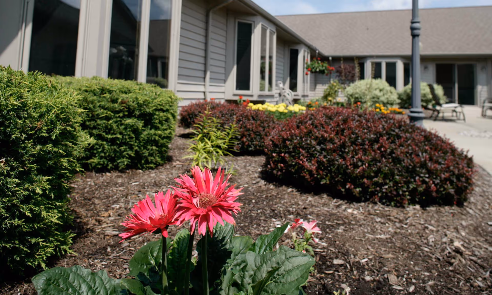 Outdoor garden area with blooming pink flowers in the foreground, various shrubs, and a building with large windows and a sloped roof in the background under a clear sky.