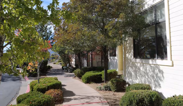 A paved walkway bordered by trimmed bushes and trees running alongside the exterior of a light-colored building with windows.