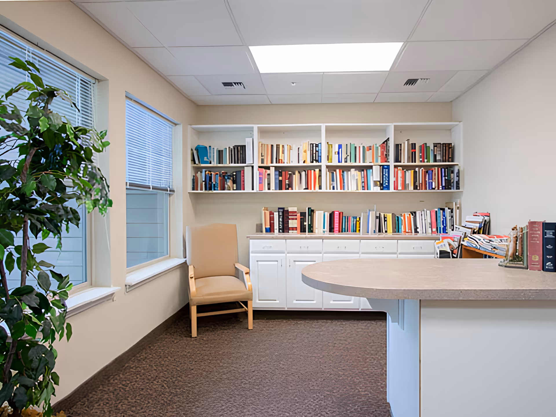 A bright seating and reading area with built-in bookshelves, a chair, a countertop, and windows.