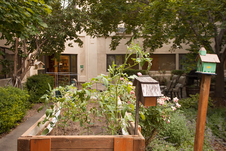 A raised garden bed with green plants growing, surrounded by trees and bushes in an outdoor courtyard area of a senior living facility. There are two birdhouses mounted on wooden posts near the garden bed, and a building with windows and a door is visible in the background.