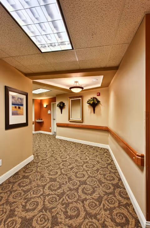 Carpeted interior corridor with handrails, framed art, decorative wall planters, and overhead lighting.