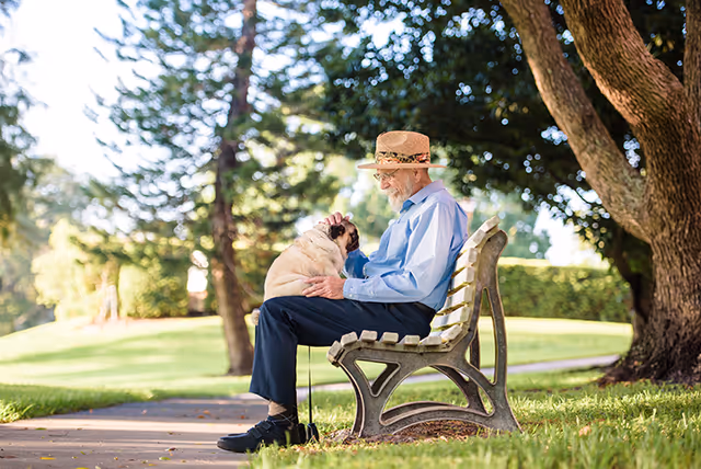 An elderly man wearing a straw hat sits on a park bench outdoors petting a small dog on his lap.