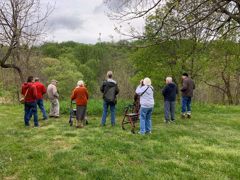 A group of elderly people standing on a grassy area facing a wooded landscape. Some are using walkers, and one person is using binoculars to look at the scenery. The sky is cloudy and the trees are lush and green.