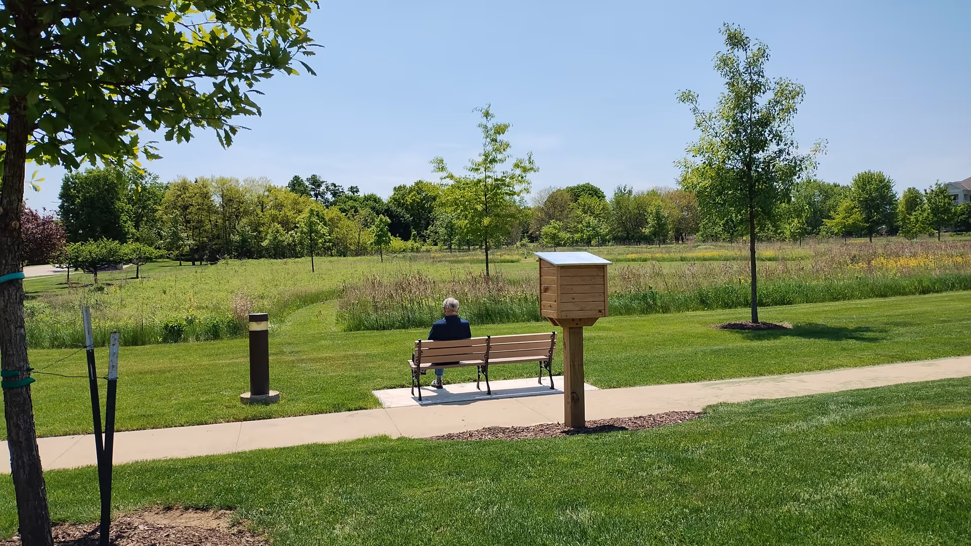 A person sitting alone on a wooden bench facing a large grassy field with scattered trees under a clear blue sky. A small wooden box on a post is near the bench, and a paved walkway runs through the green lawn.