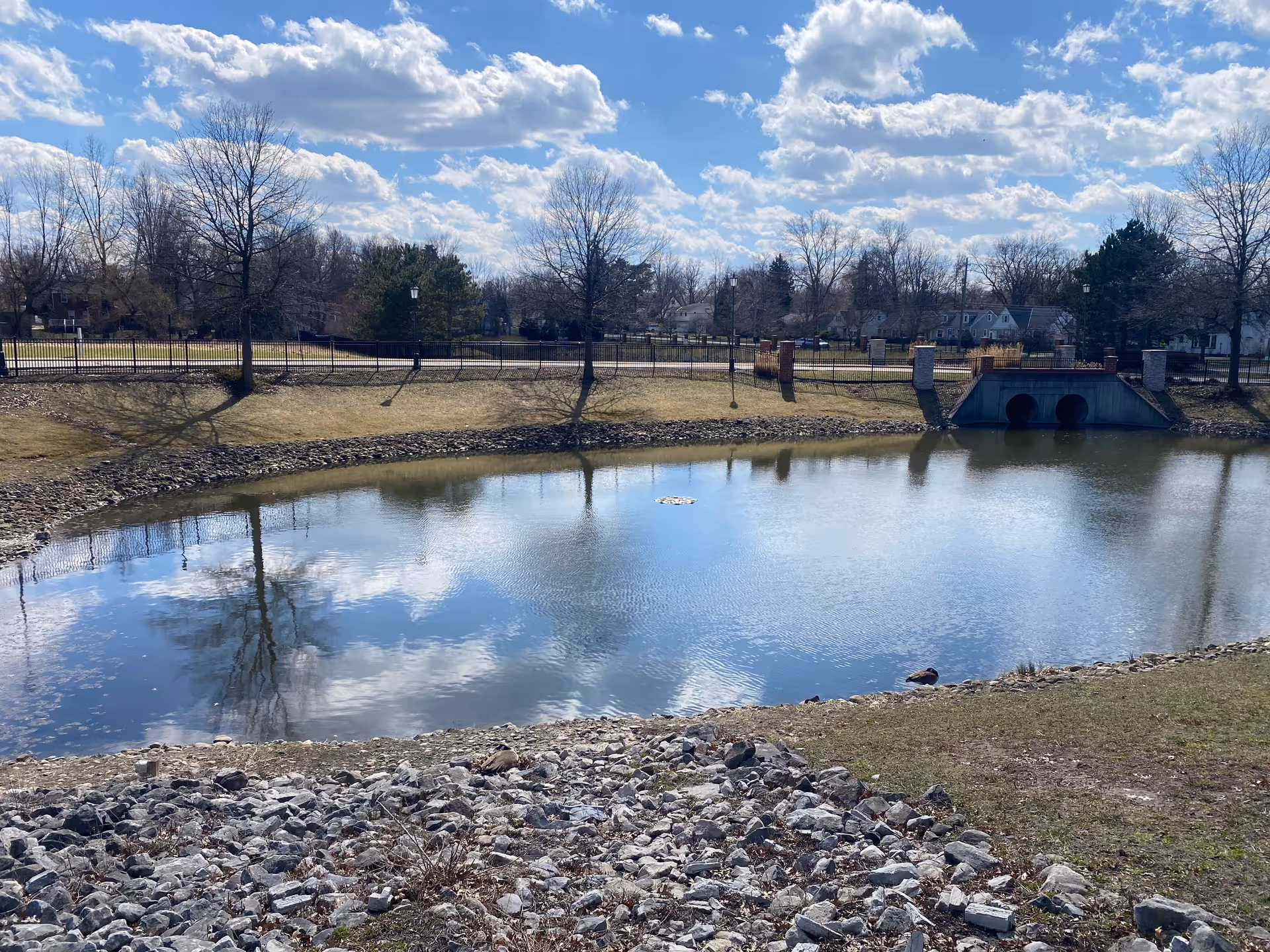 A small pond surrounded by a rocky and grassy embankment with leafless trees and a black metal fence in the background under a partly cloudy blue sky. There are two large drainage pipes on the far side of the pond and some houses visible beyond the fence.