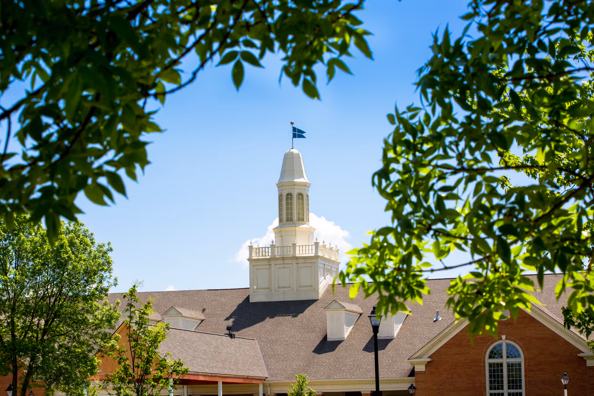 View of a building with a white cupola and a small flag on top, framed by green tree branches and leaves under a clear blue sky.