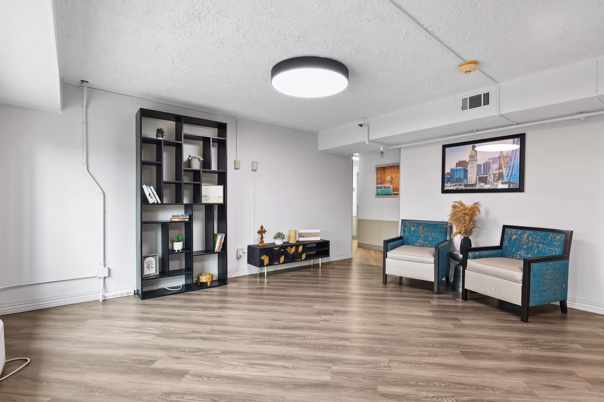 Bright common room with two patterned armchairs, a tall shelving unit, a small console, and wood-look flooring.