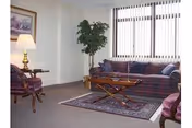 Sunlit living room with a plaid sofa, coffee table on an area rug, armchairs, a floor lamp, potted plant, and vertical blinds.