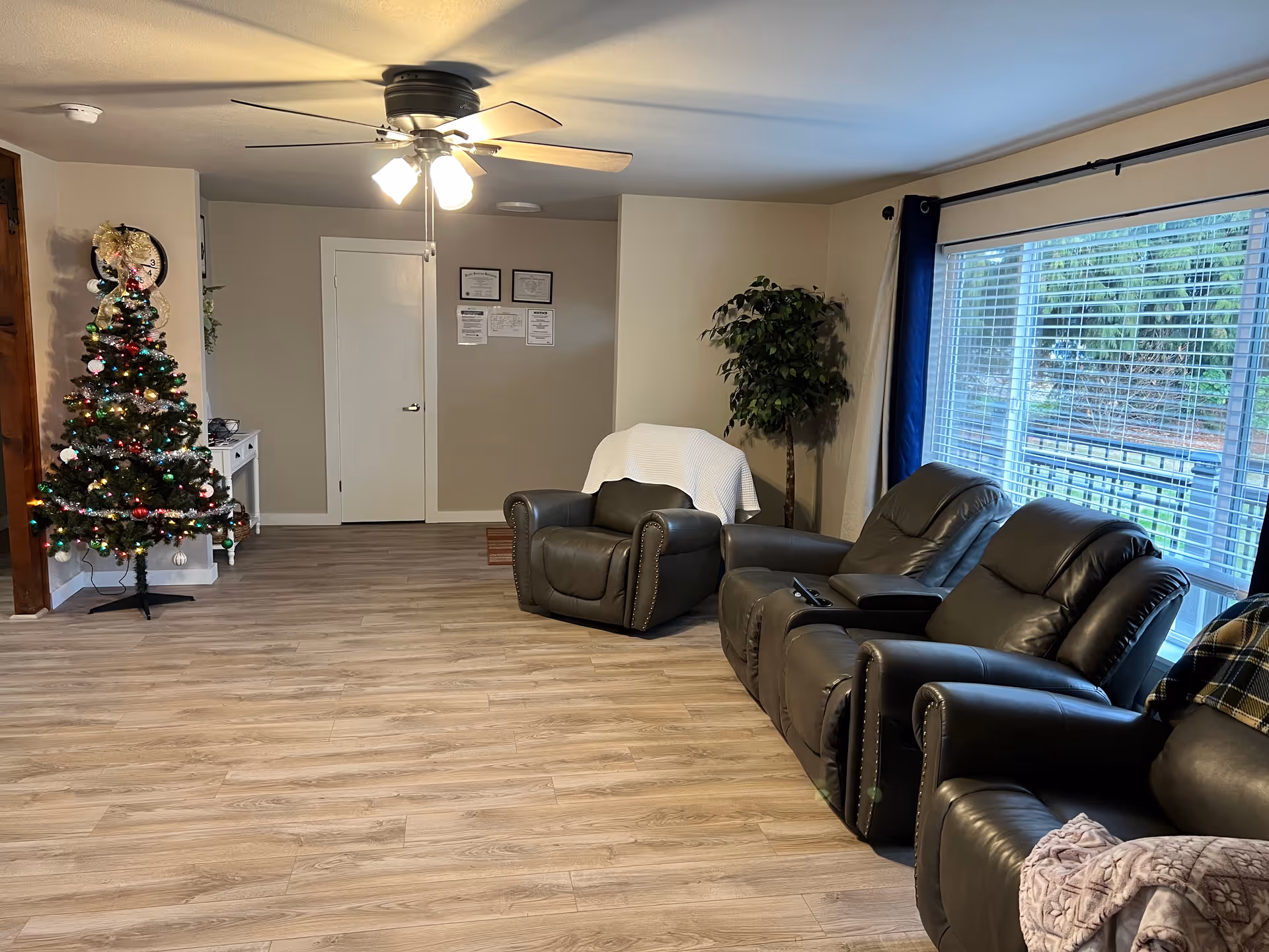 A living room with a ceiling fan and light fixture, a decorated Christmas tree with lights and ornaments, a large window with blue curtains, three dark leather recliner chairs, a small white table with a plant, and light wood flooring.