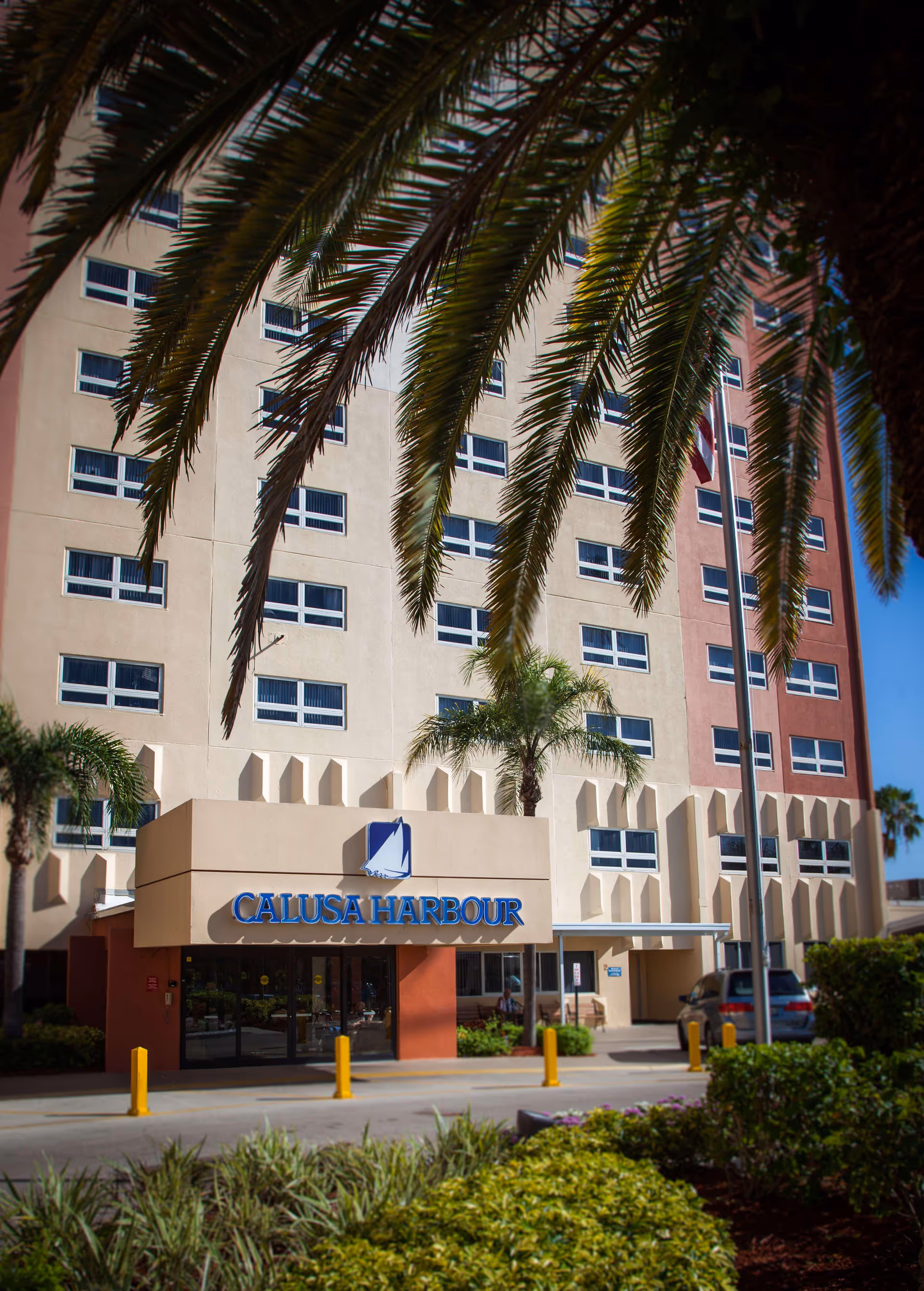 Exterior view of Calusa Harbour building with multiple windows, palm trees in the foreground, and a clear blue sky.