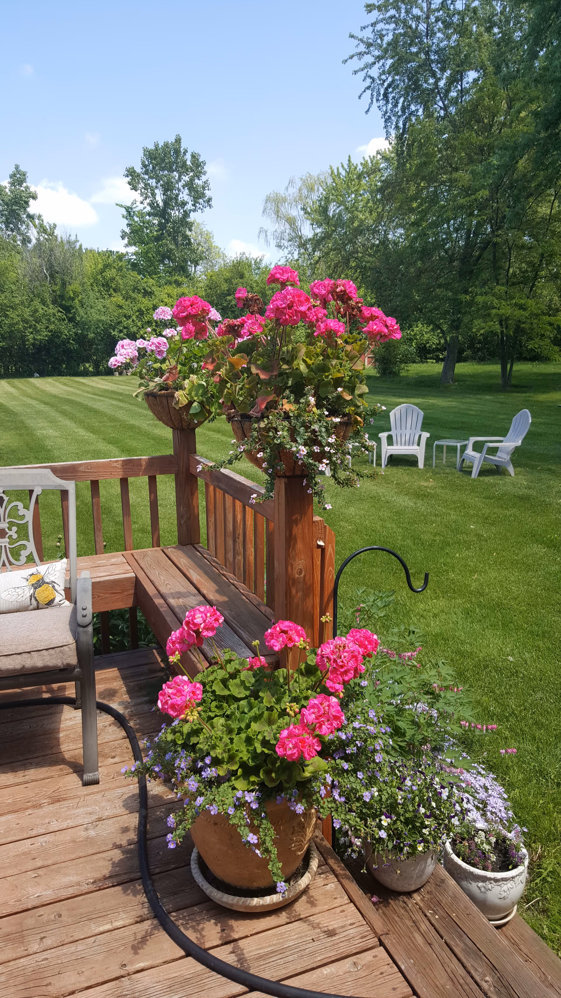 A wooden deck with potted pink and purple flowers, a cushioned chair, and a garden hose. In the background, there is a well-maintained green lawn with trees and two white outdoor chairs with a small table between them under a clear blue sky.