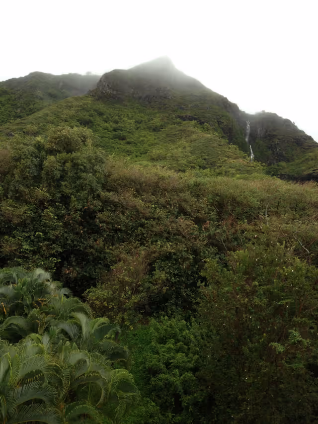 Lush green mountain landscape with dense foliage and trees in the foreground, mist covering the peak, and a small waterfall visible on the right side of the mountain.