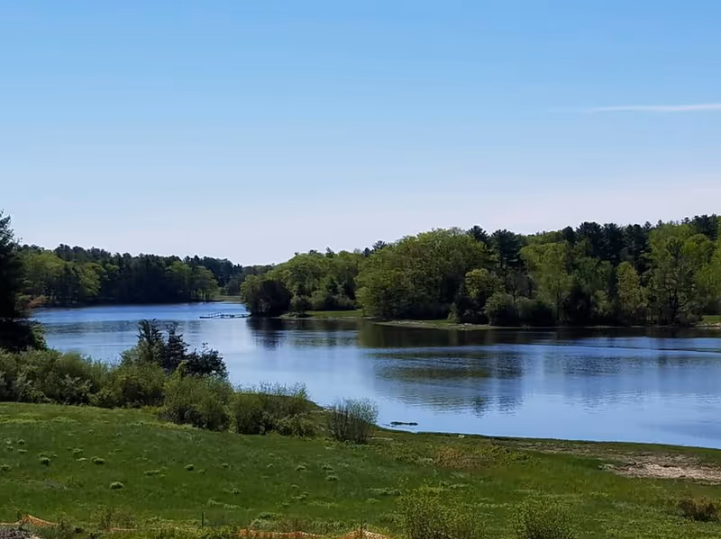 A serene outdoor scene featuring a calm river surrounded by lush green trees and grassy banks under a clear blue sky.