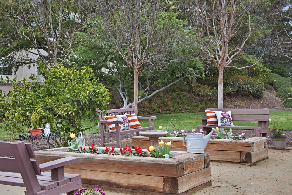 Outdoor garden area with wooden benches adorned with striped and floral cushions, raised wooden flower beds filled with blooming tulips and other flowers, a metal watering can, and various trees and shrubs in the background.
