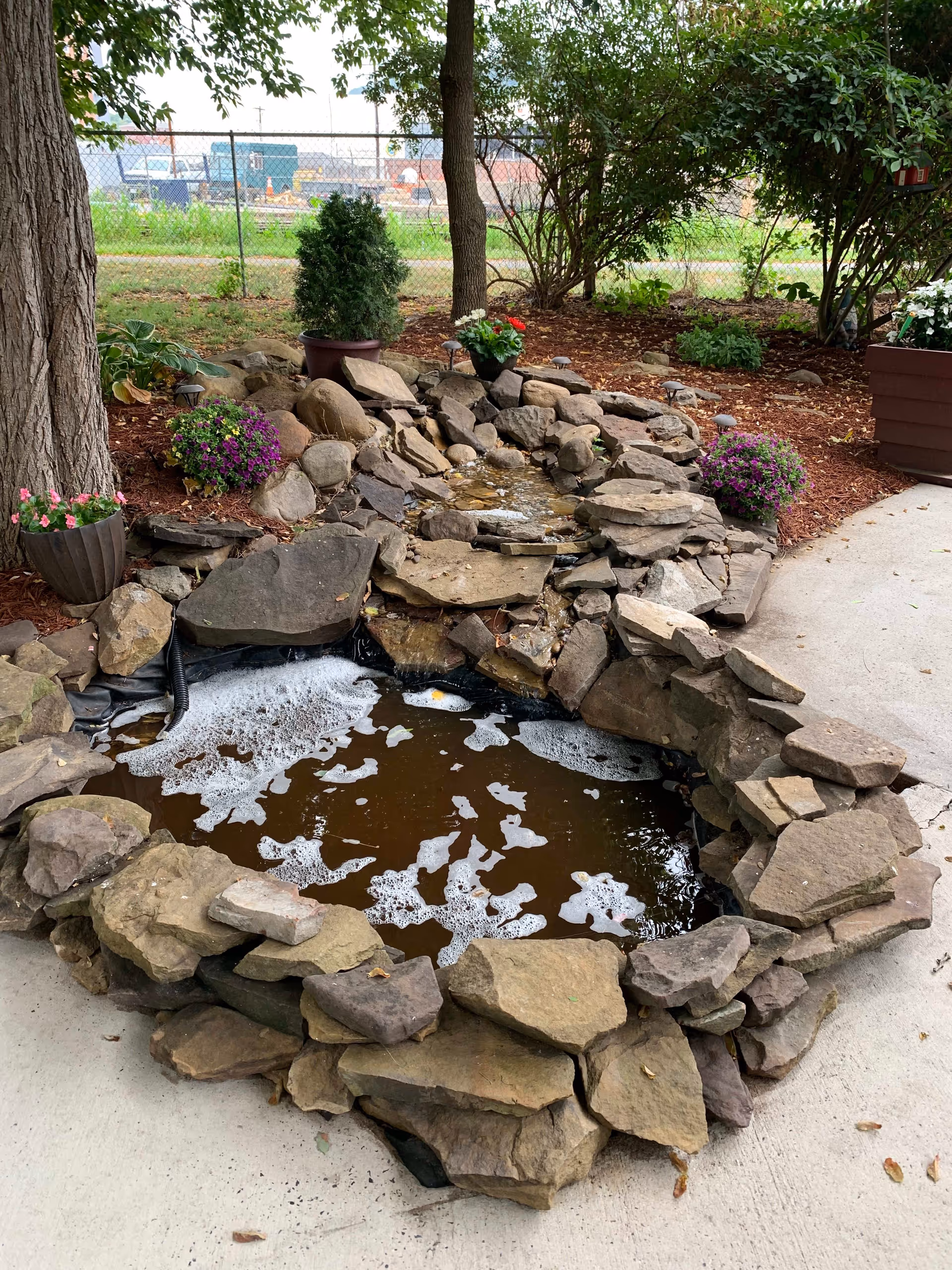 A small outdoor garden pond surrounded by large rocks and plants, with water bubbling and foam on the surface. There are potted flowers and greenery around the pond, and a tree trunk is visible on the left side. A chain-link fence and some industrial buildings can be seen in the background.