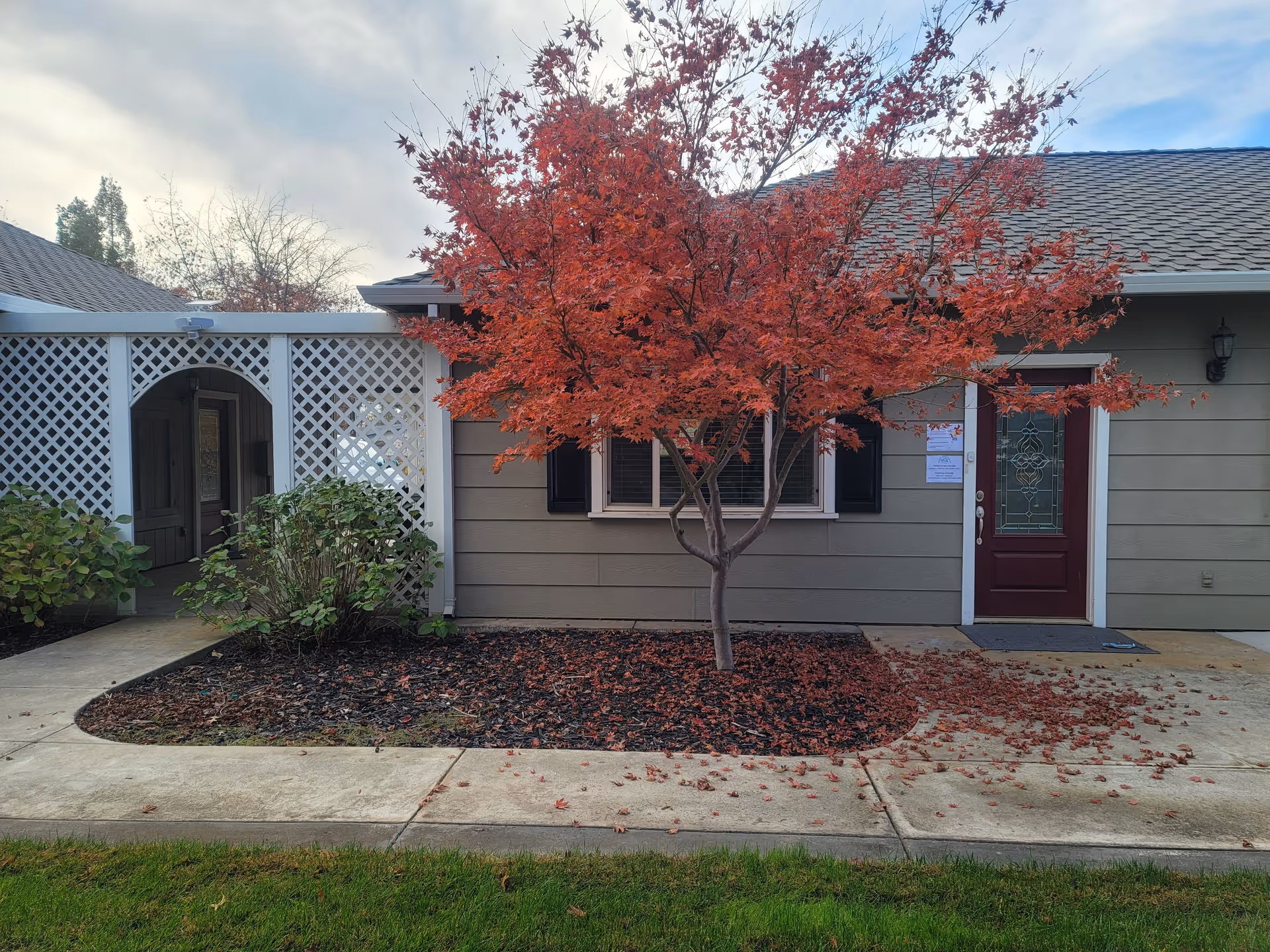 Exterior view of a single-story building with beige siding and a dark red door with decorative glass. In front of the building is a small garden bed with a tree that has vibrant red autumn leaves and some green shrubs. There is a concrete walkway leading to the door and a white lattice structure on the left side of the building.