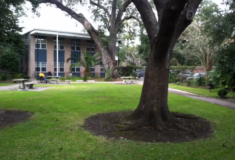 A green outdoor area with large trees and a well-maintained lawn in front of a two-story building. There are picnic tables and benches scattered around the grassy area, and a person wearing a yellow shirt is sitting on one of the benches near the building.
