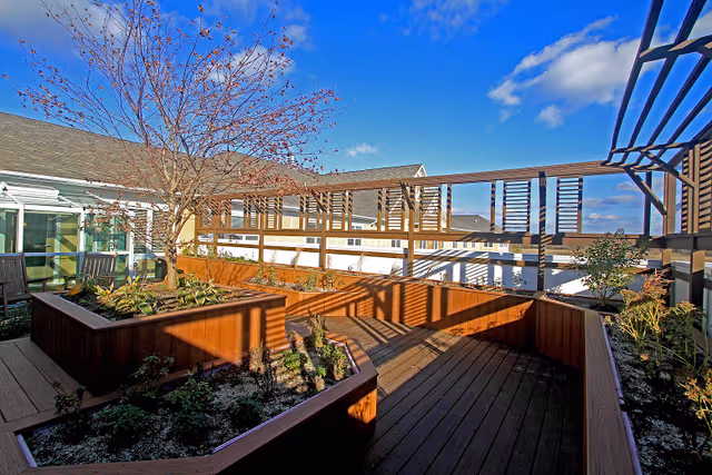 Outdoor patio area with raised wooden garden beds containing plants and a small tree, surrounded by wooden decking and a pergola structure under a clear blue sky.