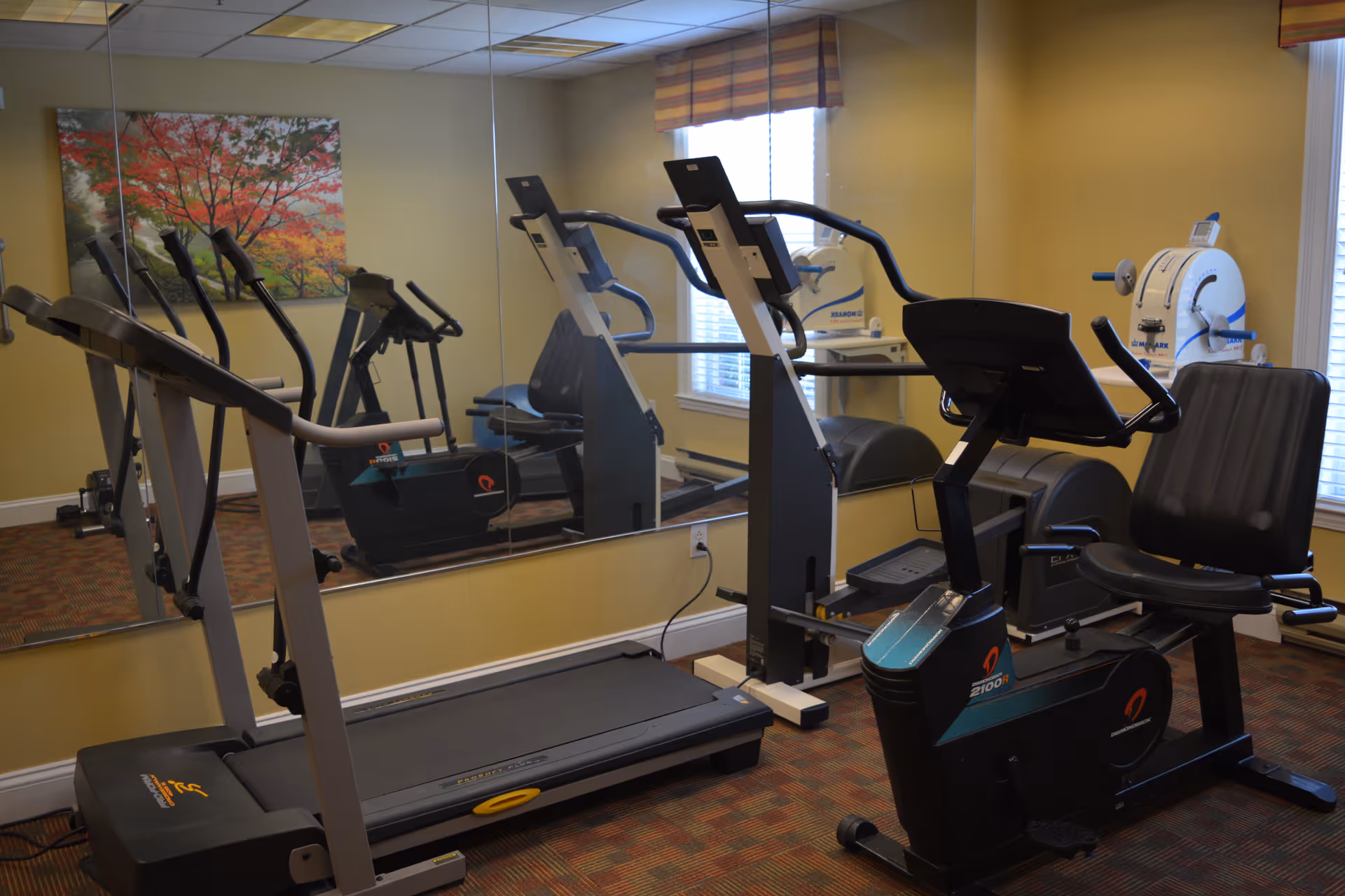 A small fitness room with exercise equipment including a treadmill, a recumbent stationary bike, and an elliptical machine. The room has yellow walls, a large mirror on one side, a window with striped blinds, and a colorful painting of a tree with red leaves on the wall.