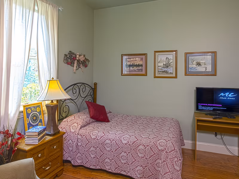 Cozy single bedroom with a patterned bedspread, bedside table and lamp, framed pictures on the wall, and a TV on a small desk.