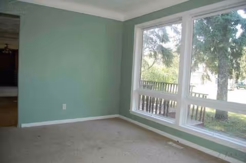 Green-walled, carpeted room with large windows overlooking trees outside.