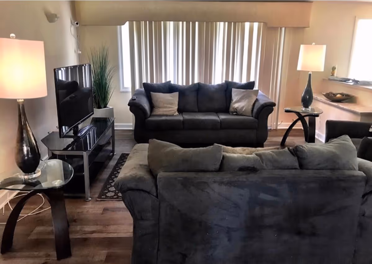 A living room with two dark gray sofas facing each other, a flat-screen TV on a black TV stand, two glass side tables each with a lamp, a tall green plant in a white pot, and vertical blinds covering the windows in the background.