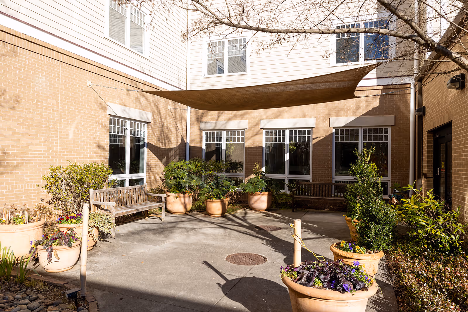 A sunny outdoor courtyard area with brick walls and multiple windows. The courtyard features several large potted plants, two wooden benches, and a shade sail overhead providing partial shade. There are some leafless tree branches visible at the top right corner.