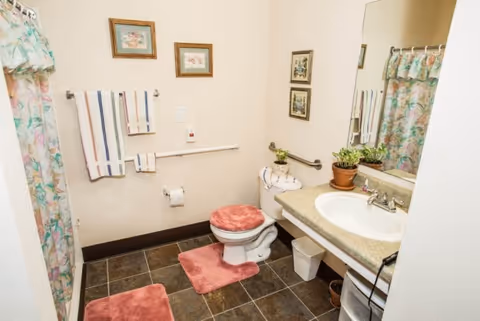 A clean bathroom with a toilet, sink, and shower. The toilet has a pink fuzzy seat cover and matching pink rugs on the floor. There are two striped towels hanging on a wall-mounted towel rack, a toilet paper holder, and a grab bar next to the toilet. The sink countertop has a potted plant and a soap dispenser. The shower curtain has a floral pattern. The walls are decorated with framed pictures.