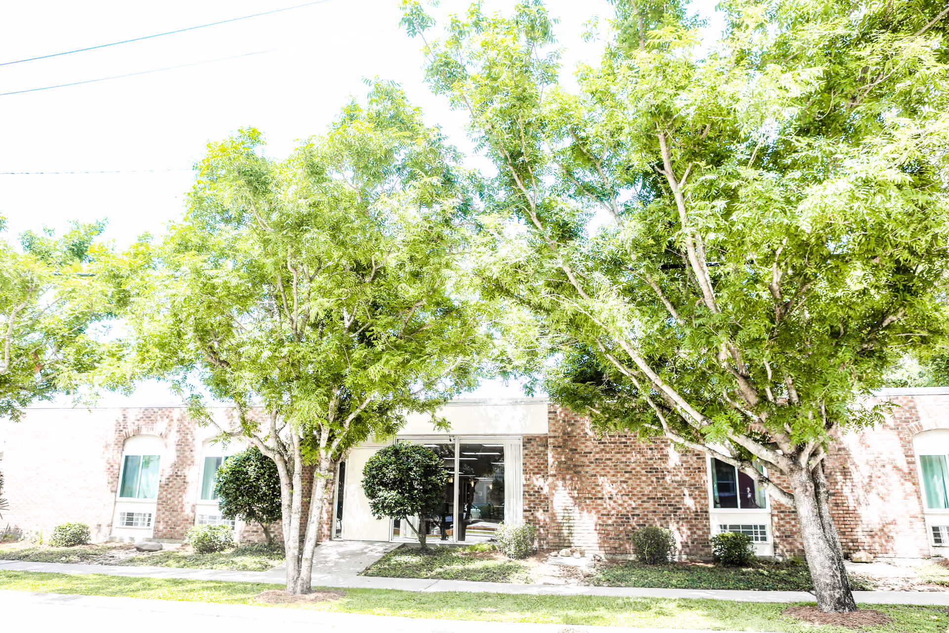 Front exterior of a single-story brick senior living facility with trees flanking the main entrance.