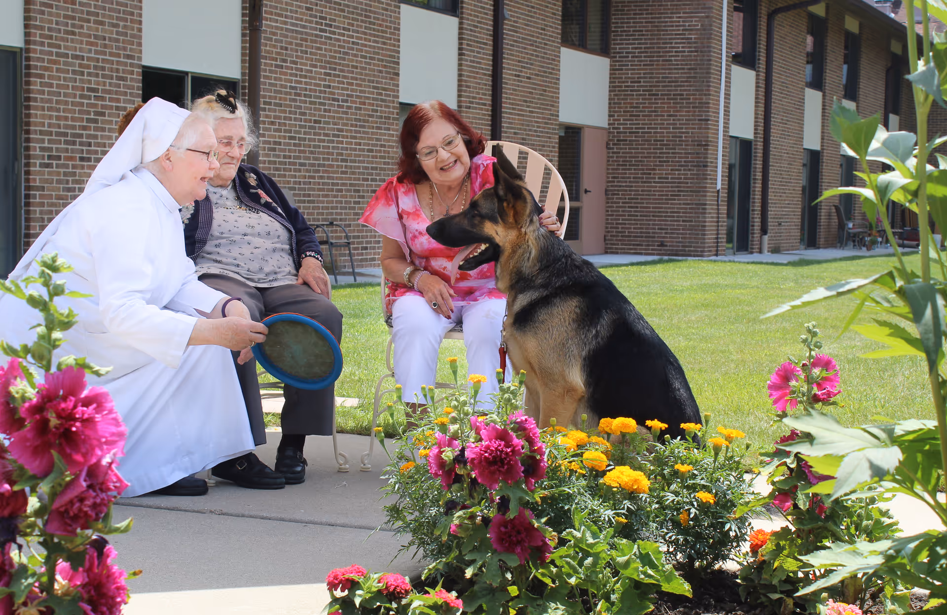 Three older women seated outside a brick senior living building interacting with a German Shepherd near colorful flower beds.