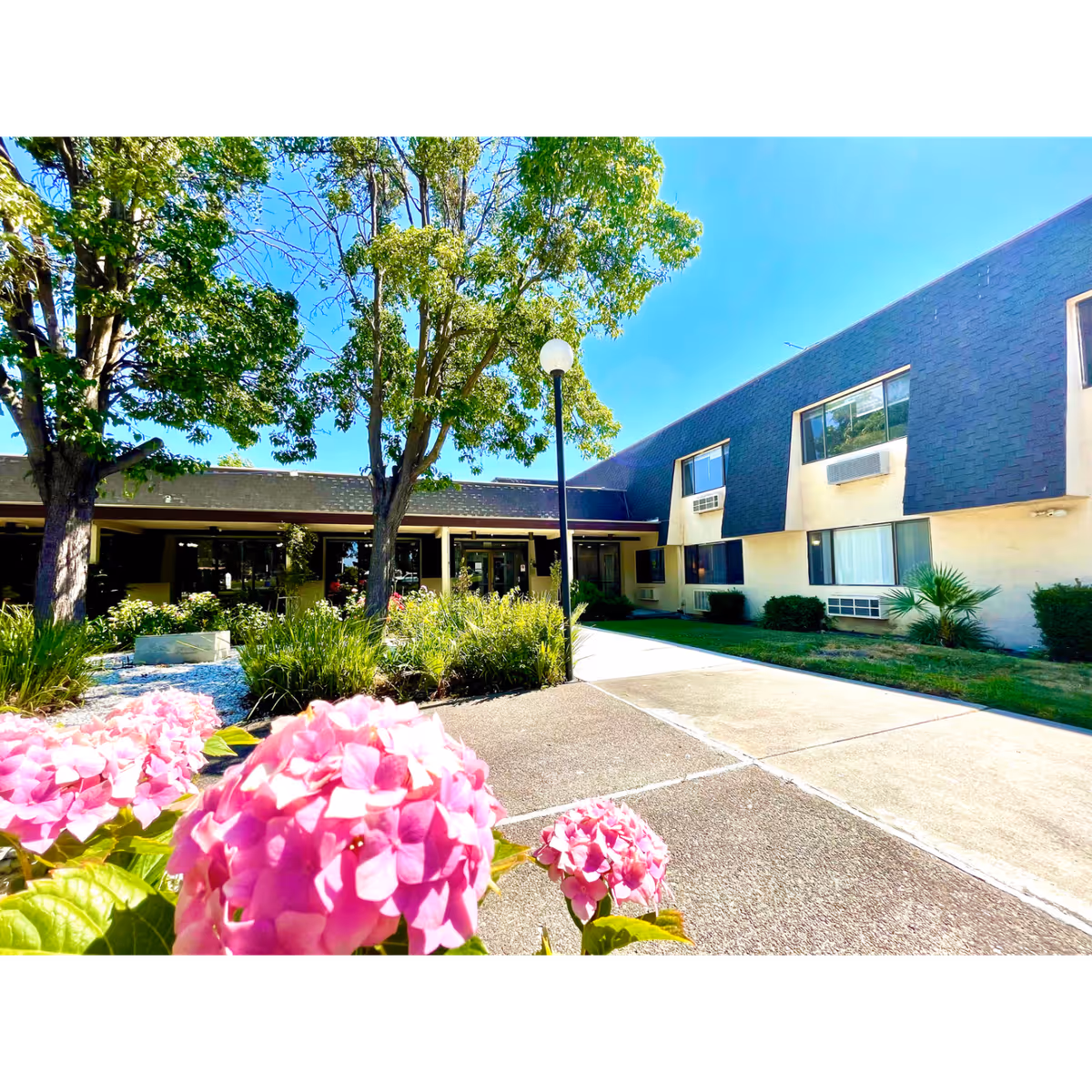 Exterior view of a senior living facility building with a pathway leading to the entrance. The building has two stories with several windows and air conditioning units. There are green trees and bushes around the building, and pink flowers in the foreground under a clear blue sky.