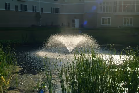 A water fountain spraying water in a pond surrounded by tall green grass with a building in the background during daylight.