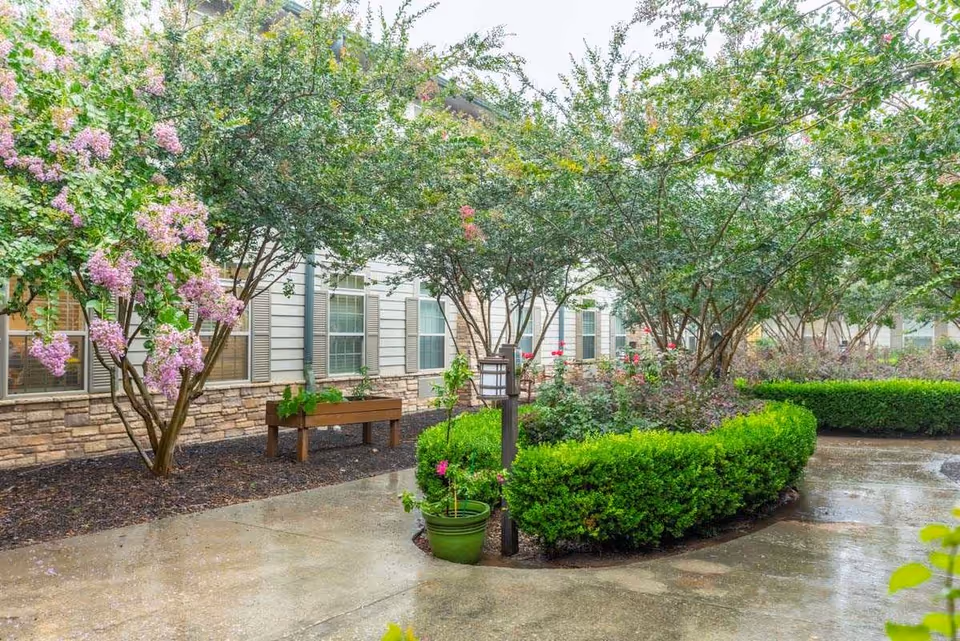 Landscaped courtyard with trimmed hedges, flowering trees, potted plants, and a wet concrete walkway alongside the building.