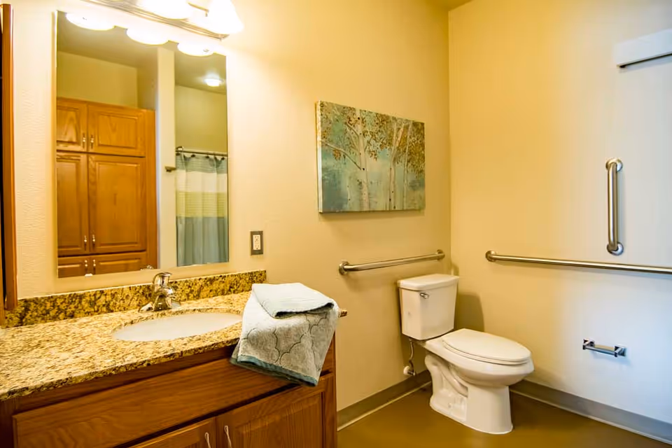 A clean and well-lit bathroom with a granite countertop sink, wooden cabinets, a toilet with grab bars on the walls, a folded towel on the counter, and a painting of trees hanging above the toilet.