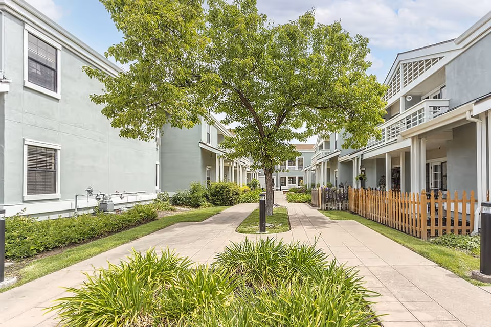 Outdoor courtyard area at Brookdale Diablo Lodge featuring a paved walkway flanked by green plants and a tree in the center, with two-story residential buildings on either side under a partly cloudy sky.